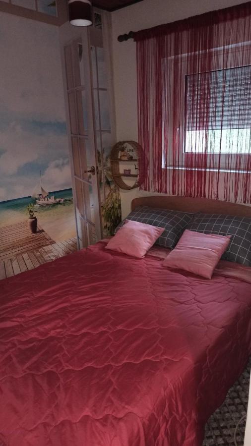 Apartman Palic Libero Buitenkant foto