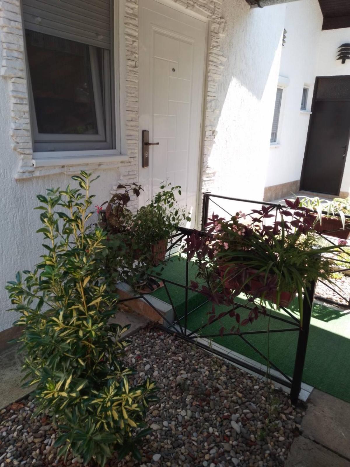 Apartman Palic Libero Buitenkant foto